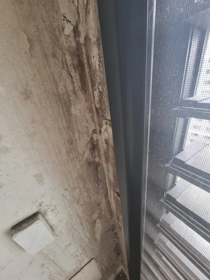 벽지곰팡이제거 — 결로곰팡이제거와 연결해 확인하면 좋은 서비스 사진